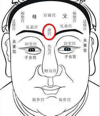 富贵面相男|男人的十种富贵面相图解 双眉细柔贵人多